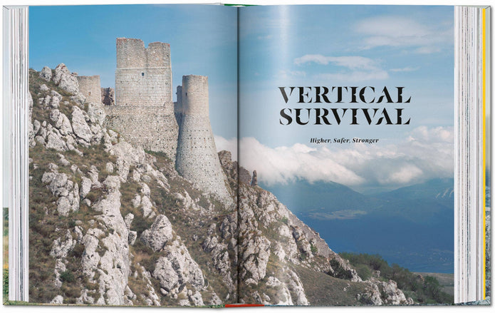 Stone Age -Frédéric Chaubin , 45th Ed. (German, French, English)