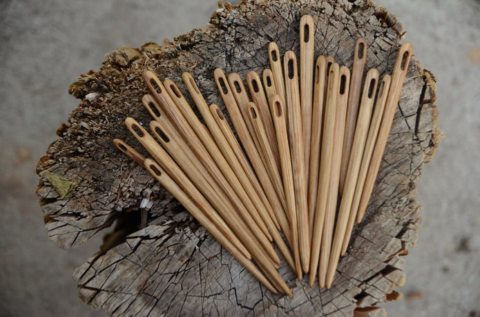 Kinnasneula tammea, 10cm