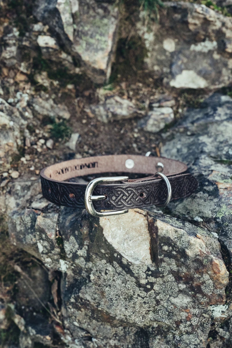 Koiran talutushihna- ja kaulapantasetti 